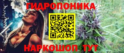 таблы Будённовск